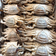 <연평도 꽃게 입고!!>Yellow Sea Crab