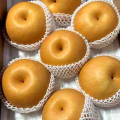 진주 문산 배 5kg, 6-7과 (Jinju Munsan Korean Pear 5kg, 6–7 pcs)